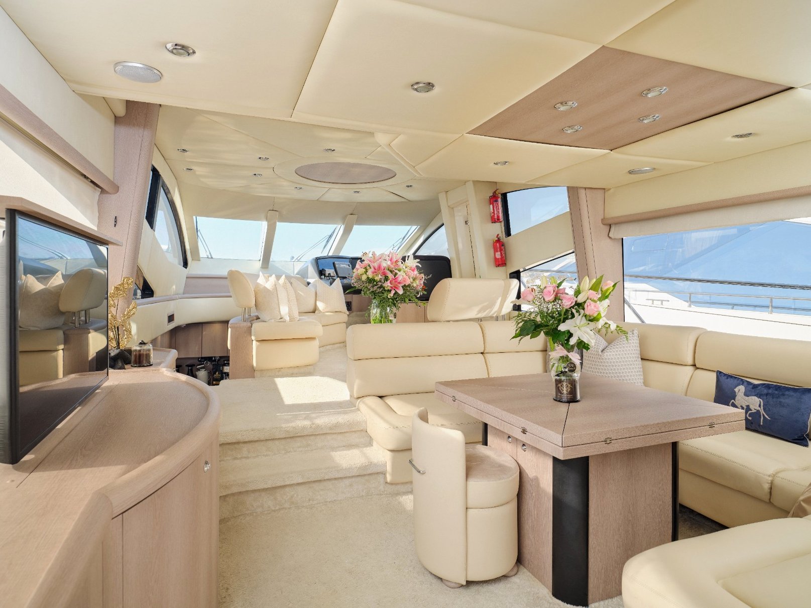Sunseeker Satoshi: view 7